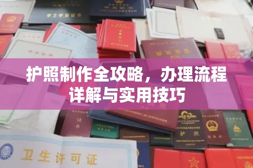 衡阳护照制作全攻略，办理流程详解与实用技巧