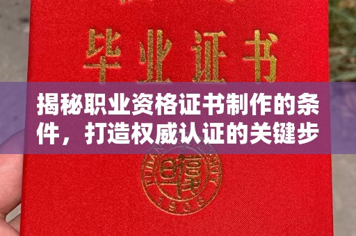 太湖揭秘职业资格证书制作的条件，打造权威认证的关键步骤